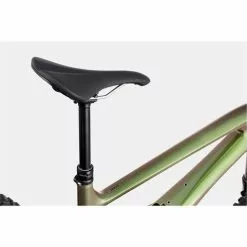 Cannondale Jekyll 1 2022 Mountain Bike-Beetle Green 22 -Bikes Sales Shop 1121314 7