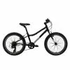 Pinnacle Ash 20 Inch Kids Bike-Black B
