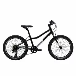Pinnacle Ash 20 Inch Kids Bike-Black B
