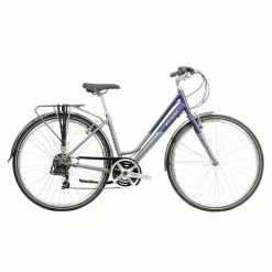 Raleigh Pioneer Tour Low Step Hybrid Bike-Blue/Silver 22