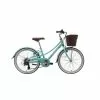 Pinnacle Californium 20 Inch Kids Bike-Green B