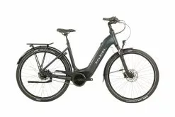 Raleigh Motus Grand Tour Hub Gear Low Step-Green 22