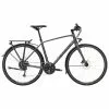 Trek FX 2 Disc Equipped Hybrid Bike-Lithium Grey 23