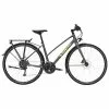 Trek FX 2 Disc Equipped Stagger Hybrid Bike-Lithium Grey 23
